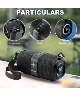 TG667 - Haut-parleur portable d'extérieur