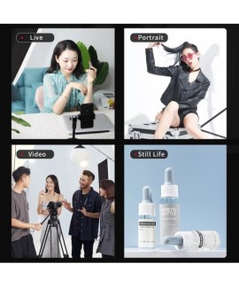 Kit d'éclairage LED professionnel avec boîte à lumière